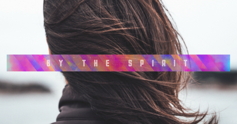 The Distinguishing Marks of the Spirit in Wild Times