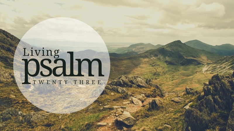Trusting The Shepherd In The Valley